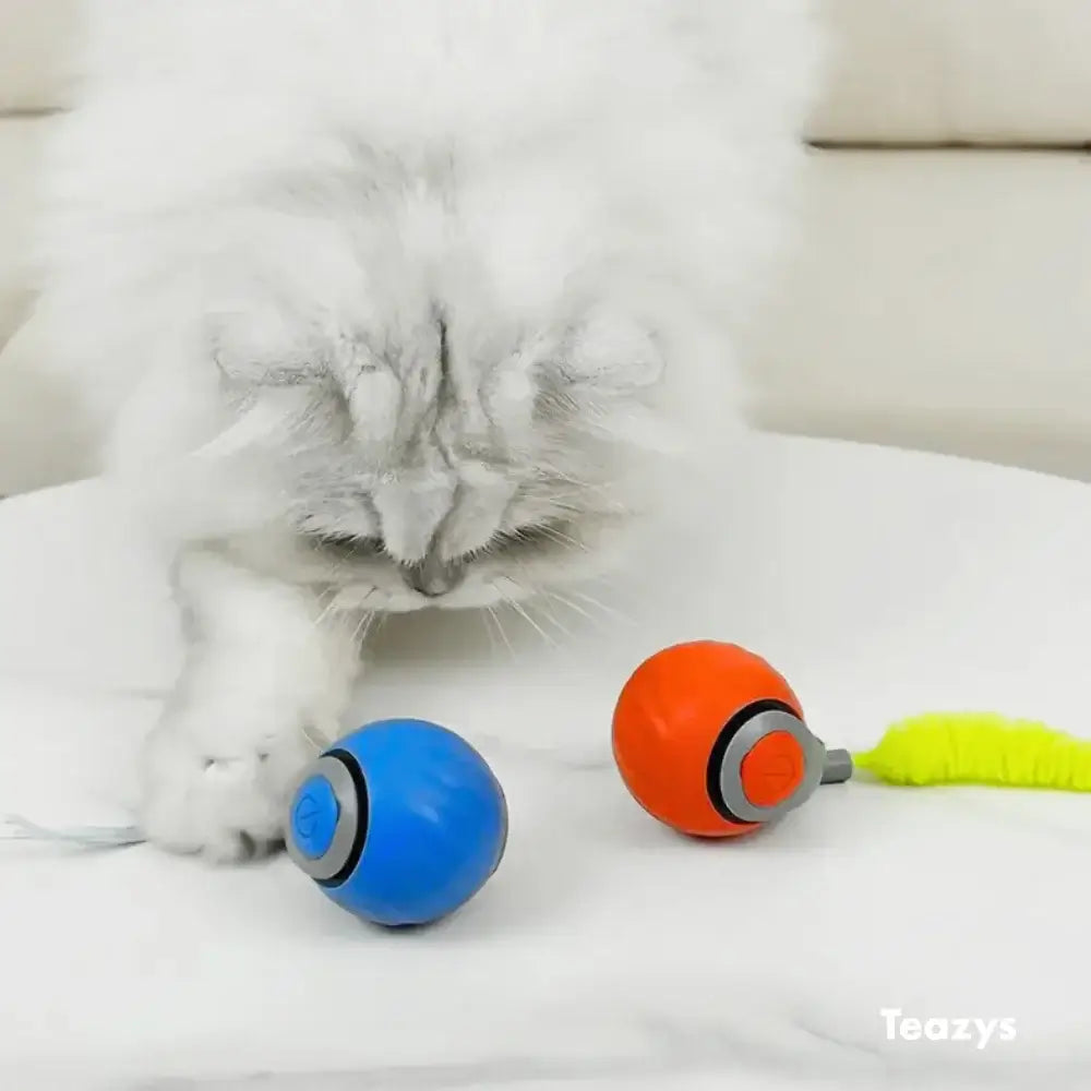 Speedy Tail: Ultimate Cat Chase Toy