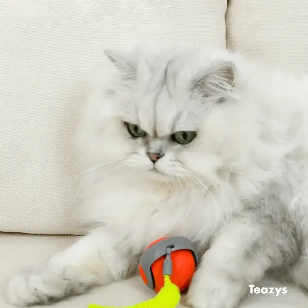 Speedy Tail: Ultimate Cat Chase Toy