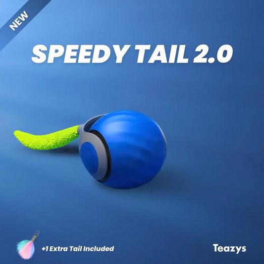 Speedy Tail: Ultimate Cat Chase Toy